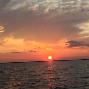 Meet your Posher, Tabitha